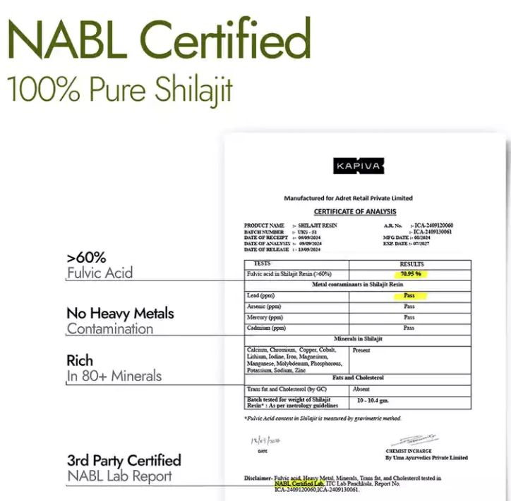1. Shilajit Gold Resin 20g